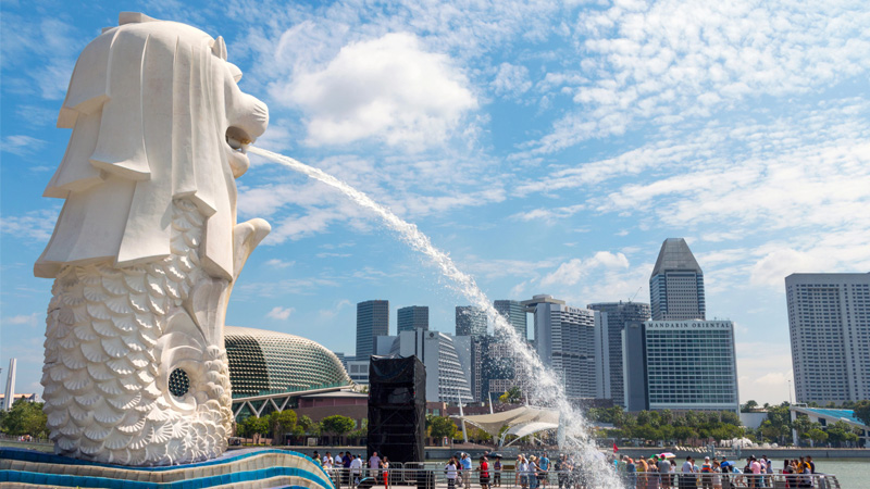 Dịch vụ gửi hàng đi Singapore giá rẻ, uy tín và chuyên nghiệp