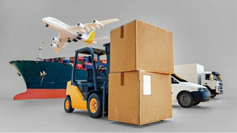 Dịch vụ gửi trái cây đi Mỹ uy tín, giá rẻ, không lo hư hỏng