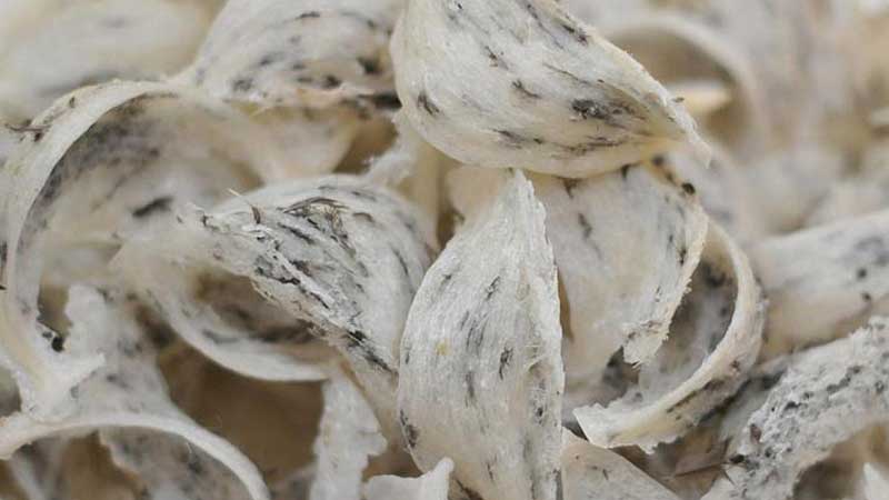 Dịch vụ gửi yến sào đi Mỹ uy tín, nhanh chóng và tiết kiệm