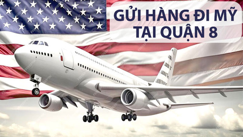 Dịch vụ gửi hàng đi Mỹ tại Quận 8 door to door giá rẻ