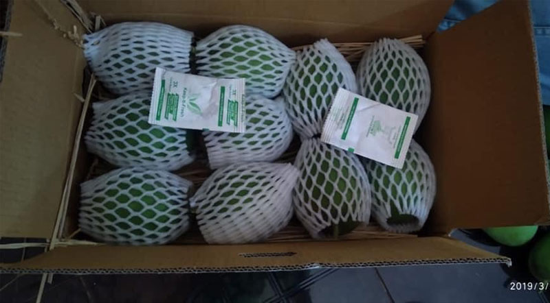 Dịch vụ gửi trái cây đi Hàn Quốc giá cước rẻ tại Tp.HCM